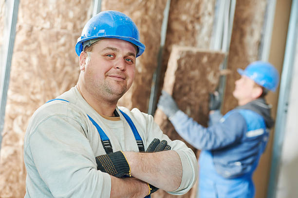 Best Geographic-Specific Insulation Services in Bray, OK